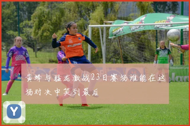 黄蜂与猛龙激战23日赛场谁能在这场对决中笑到最后