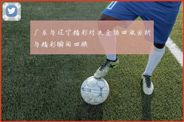 广东与辽宁精彩对决全场回放分析与精彩瞬间回顾