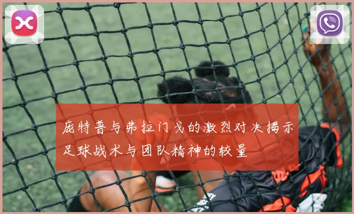 庞特普与弗拉门戈的激烈对决揭示足球战术与团队精神的较量