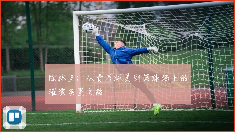 陈林坚：从青涩球员到篮球场上的璀璨明星之路